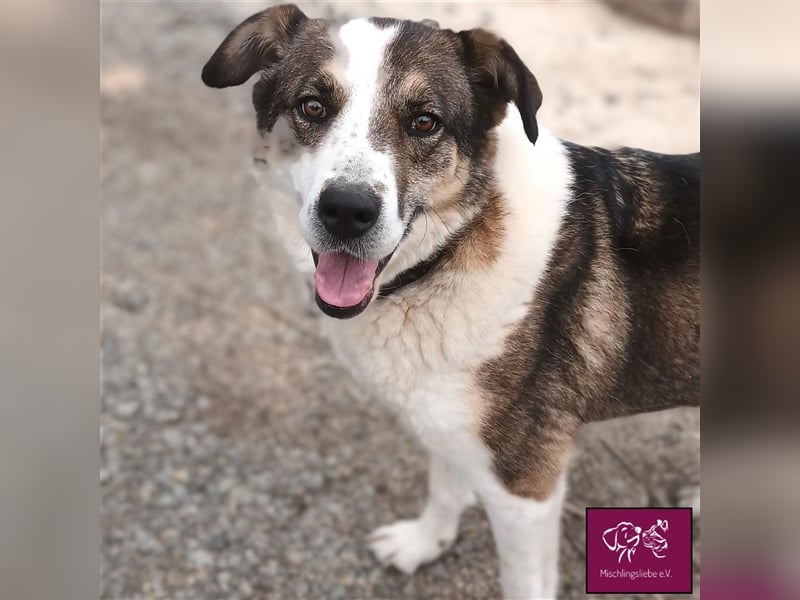 Maya auf der Suche nach ihrem Glück 