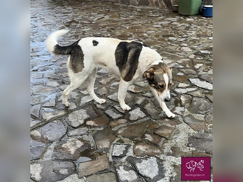 Cara wartet auf dich!