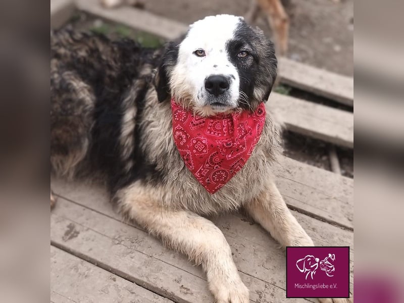 Wilke wartet auf DICH❣️❣️❣️