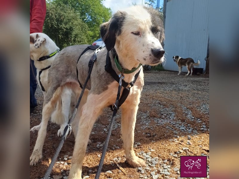 Wilke wartet auf DICH❣️❣️❣️