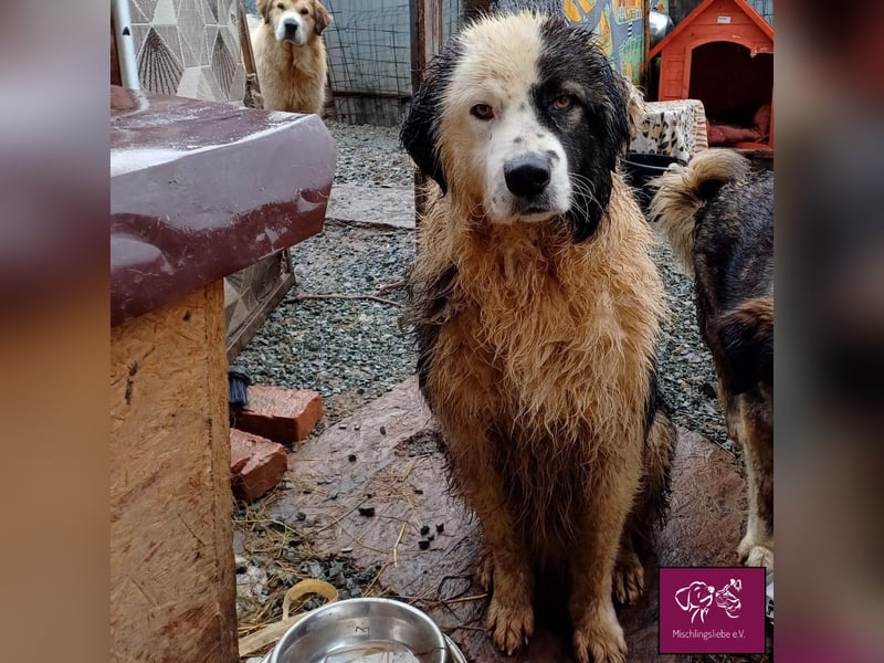 Wilke wartet auf DICH❣️❣️❣️