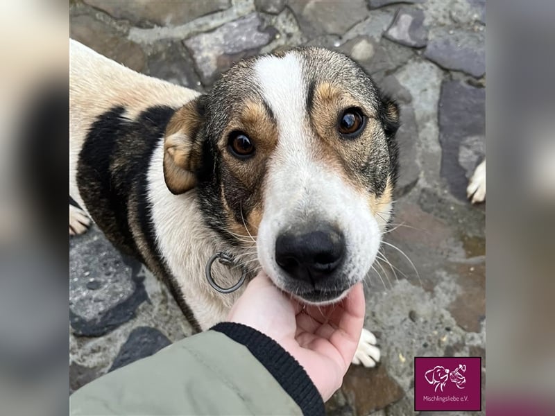 Cara wartet auf dich!