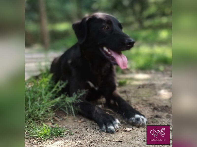 Schwarze Schönheit Kira möchte ihre Familie verzaubern! ❤️