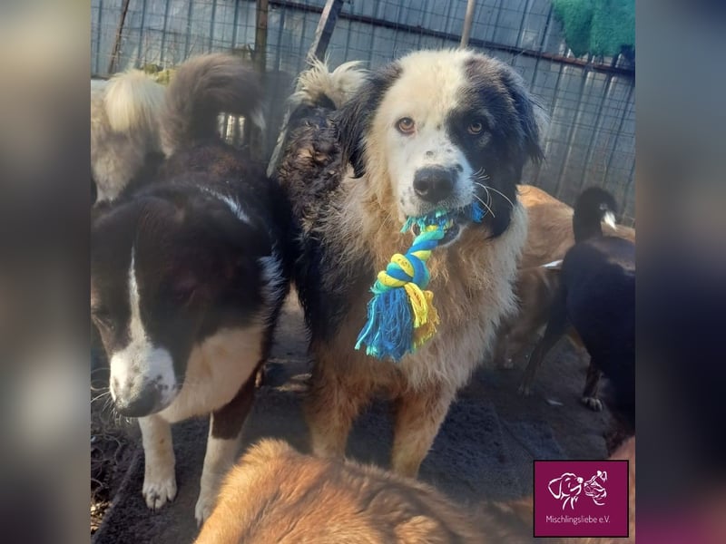 Wilke wartet auf DICH❣️❣️❣️