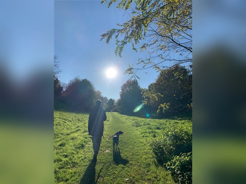 Lona sucht ihr zu Hause! ❤️