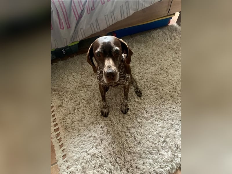 Lona sucht ihr zu Hause! ❤️