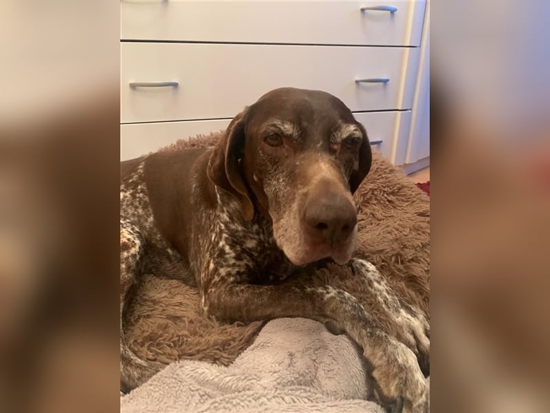 Lona sucht ihr zu Hause! ❤️