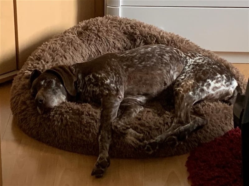 Lona sucht ihr zu Hause! ❤️