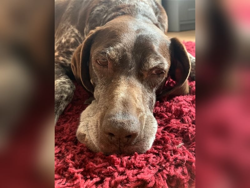 Lona sucht ihr zu Hause! ❤️