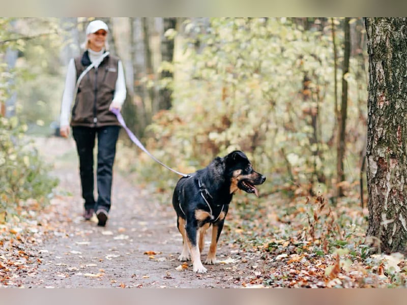 Hübsche Prada sucht ihre Menschen