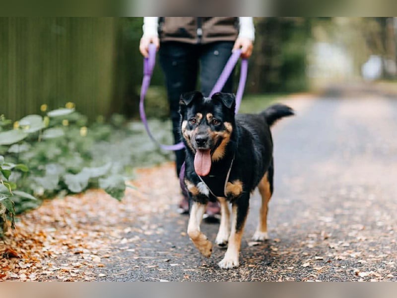 Hübsche Prada sucht ihre Menschen