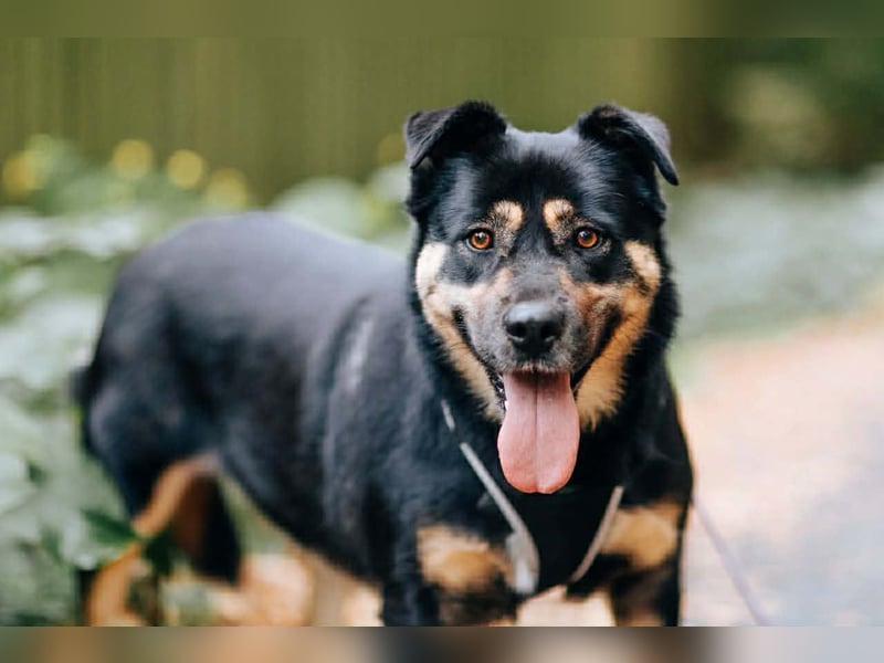 Hübsche Prada sucht ihre Menschen