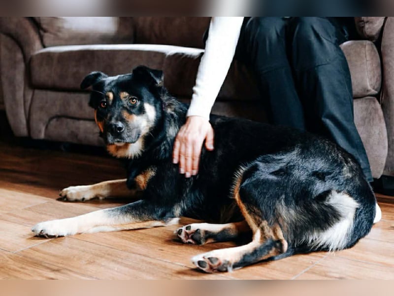 Hübsche Prada sucht ihre Menschen