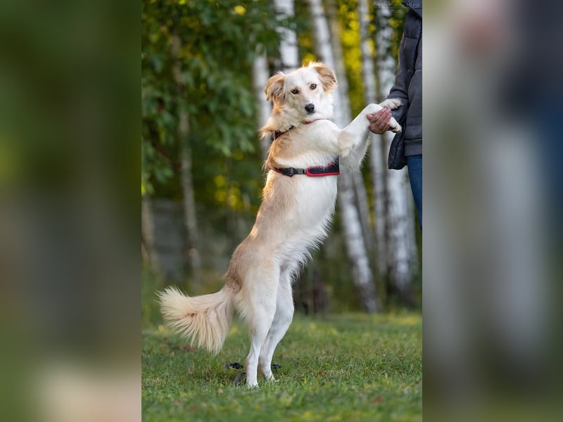 Verspielte Martha sucht ihre Familie