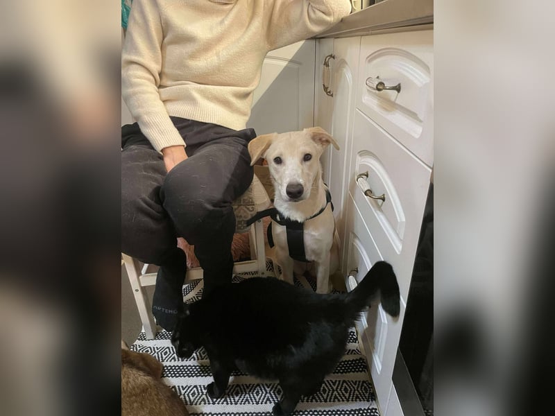 Emma sucht liebevolles zu Hause