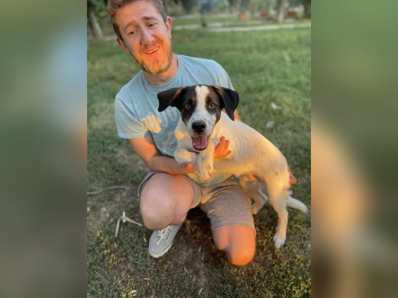 Elmi sucht liebevolles zu Hause