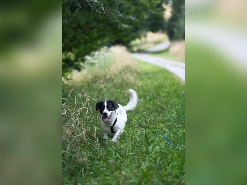 Thano sucht erfahrene Pflege- oder Endstelle