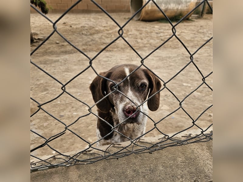 Kapi-hat es verdient in einer Familie aufzublühen