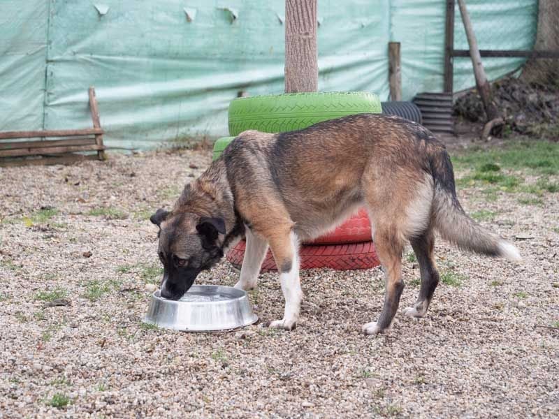 LIA-hat ihre Koffer voller Hoffnung auf einen Neustart gepackt und wartet jetzt auf ihr großes Wunde