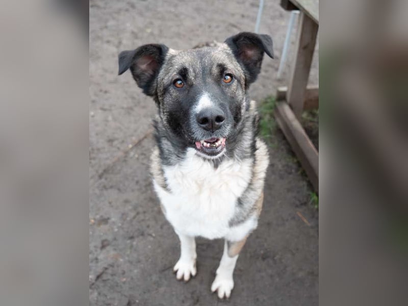 LIA-hat ihre Koffer voller Hoffnung auf einen Neustart gepackt und wartet jetzt auf ihr großes Wunde