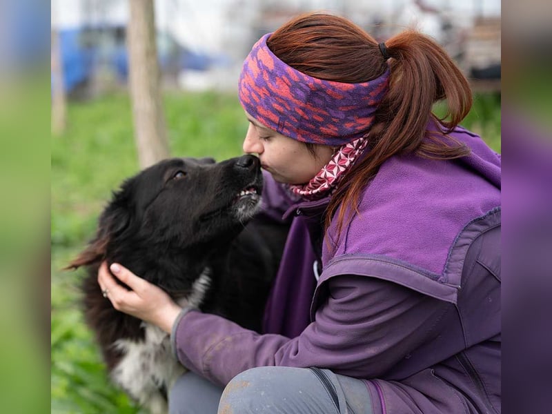 MULAN-liebe, freundliche, ruhige und ausgeglichene Hündin