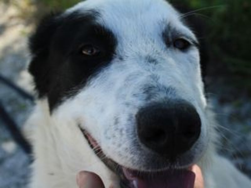 SOL-möchte Ihr ganz großes Herz an liebe Menschen zu verschenken