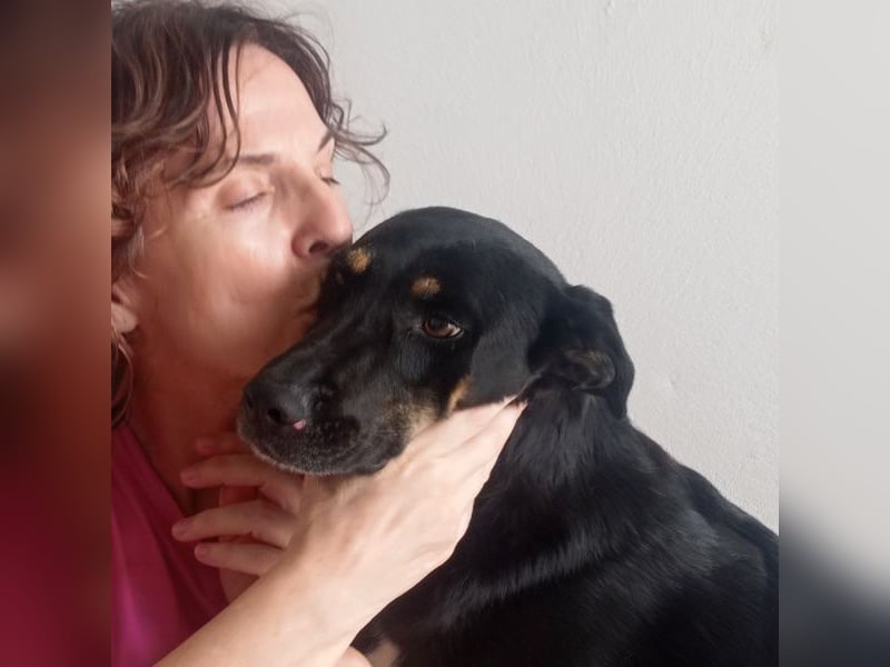 LUCA - Liebe, Vertrauen und … Wasser braucht Luca, um glücklich im liebevollen Zuhause zu werden.
