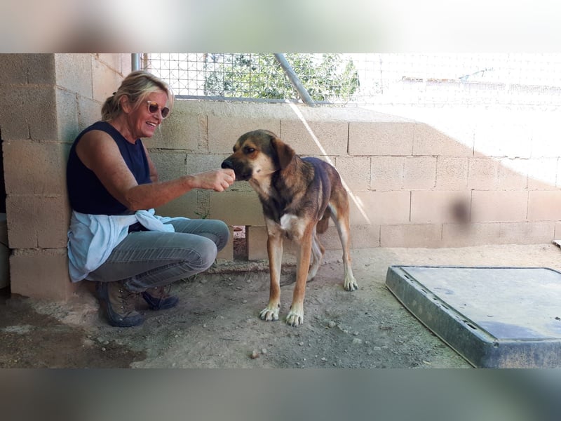 SIBILO - treuer Hundemann