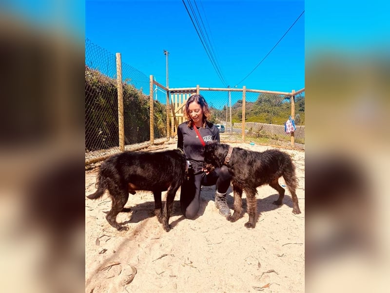 OSLO-warmherzig, anhänglich, liebenswert