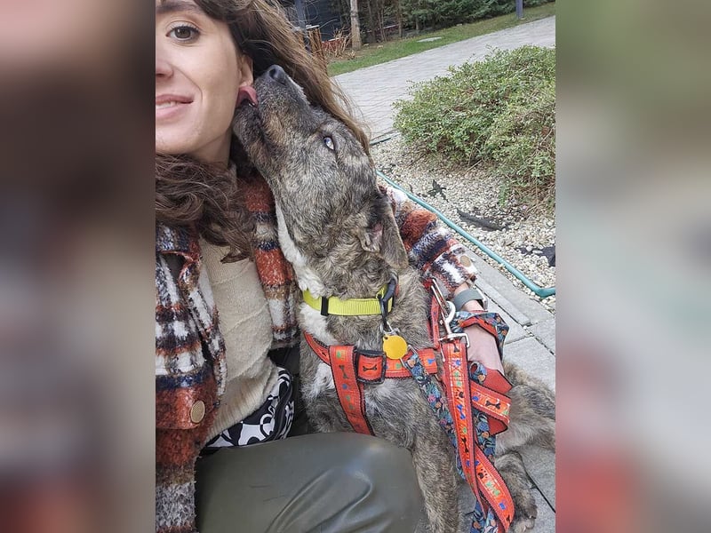 TIARA-sonniges Gemüt, treue, anhängliche Hündin