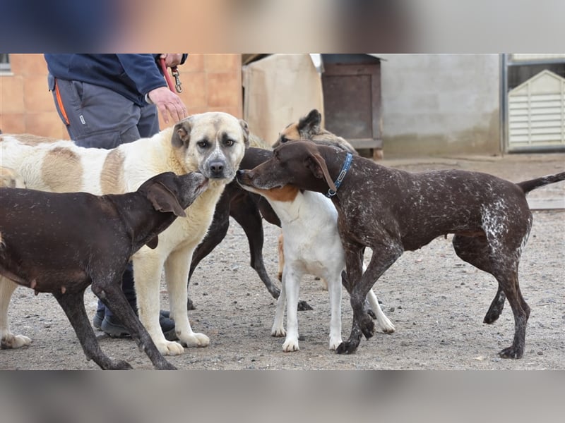 Bamali-wartet in 39291 Hohenwarthe