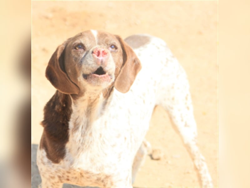 Kapi-hat es verdient in einer Familie aufzublühen