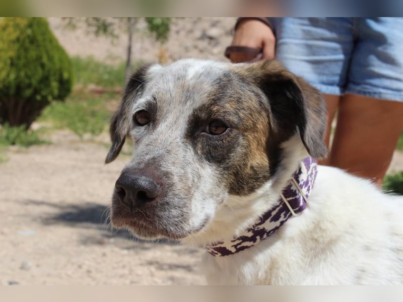 LUNAE - mit wunderbarer Balance