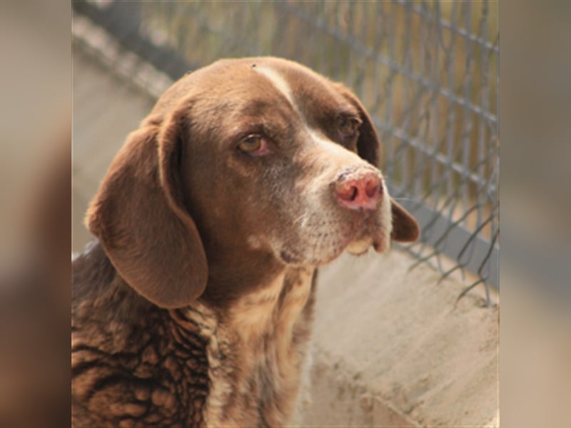 Kapi-hat es verdient in einer Familie aufzublühen