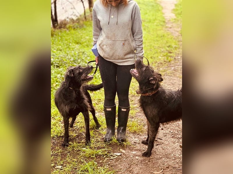 OSLO-warmherzig, anhänglich, liebenswert