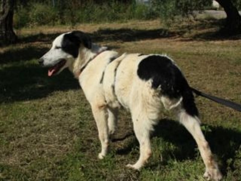 SOL-möchte Ihr ganz großes Herz an liebe Menschen zu verschenken