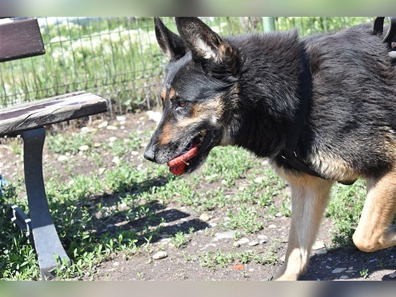 ASSUNTA-beginnt das Leben zu genießen und hat eine liebevolle Familie mehr als verdient