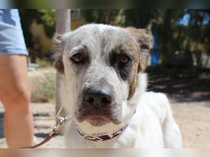 LUNAE - mit wunderbarer Balance