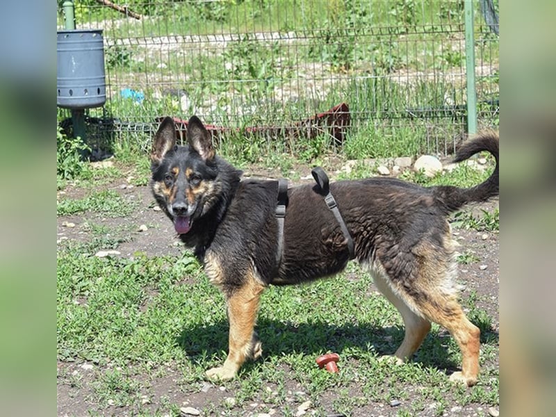 ASSUNTA-beginnt das Leben zu genießen und hat eine liebevolle Familie mehr als verdient