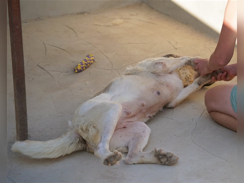 Bamali-wartet in 39291 Hohenwarthe