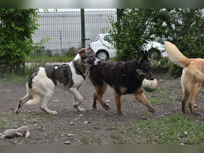 ASSUNTA-beginnt das Leben zu genießen und hat eine liebevolle Familie mehr als verdient