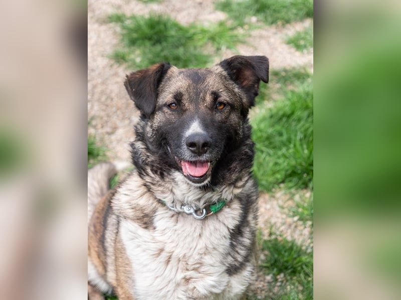 LIA-hat ihre Koffer voller Hoffnung auf einen Neustart gepackt und wartet jetzt auf ihr großes Wunde