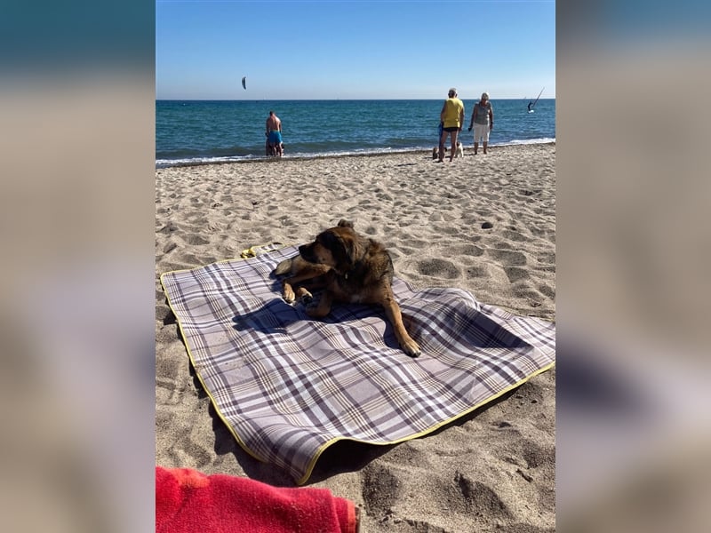 RISCO- wartet in 37115 Nesselröden (Nähe Göttingen)