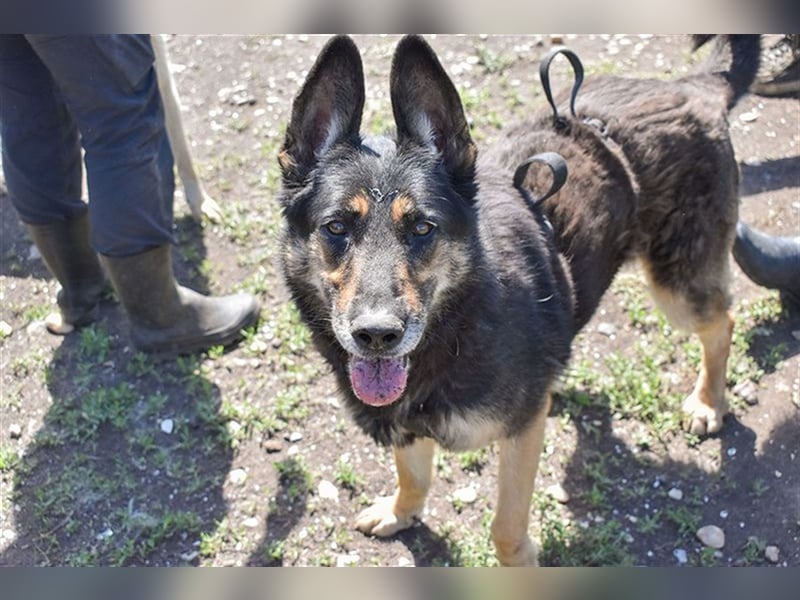 ASSUNTA-beginnt das Leben zu genießen und hat eine liebevolle Familie mehr als verdient