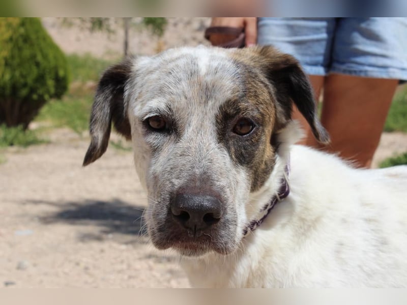 LUNAE - mit wunderbarer Balance