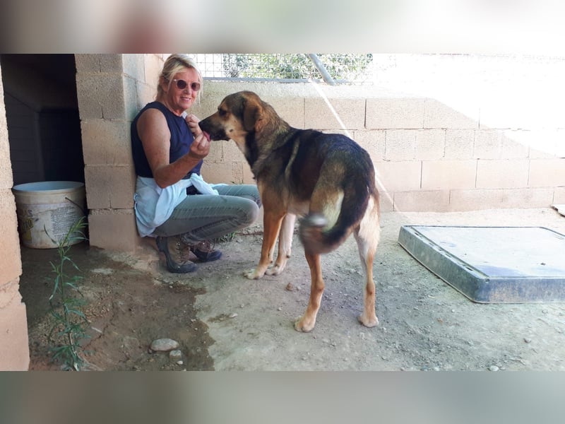 SIBILO - treuer Hundemann