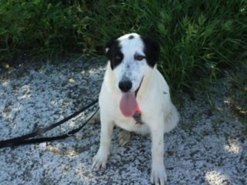 SOL-möchte Ihr ganz großes Herz an liebe Menschen zu verschenken