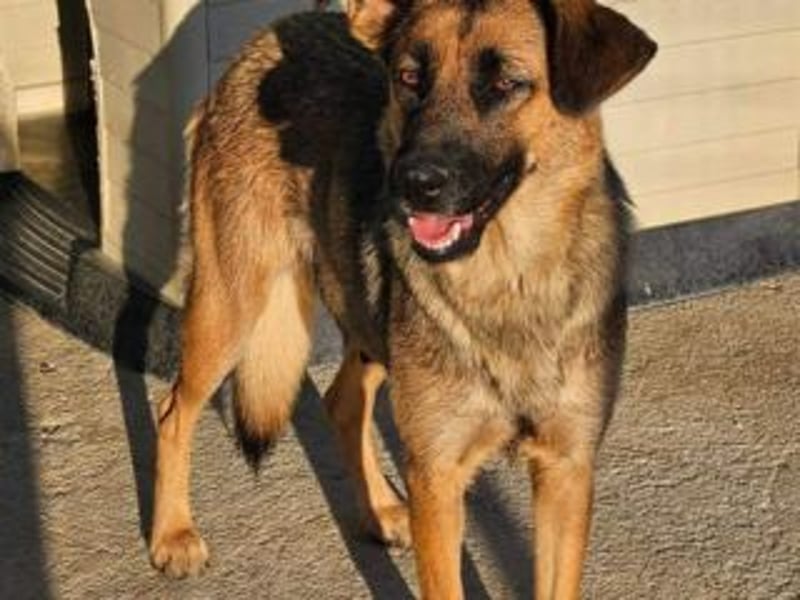 BLAYA-stolz, intelligent und zugleich unglaublich liebevoll