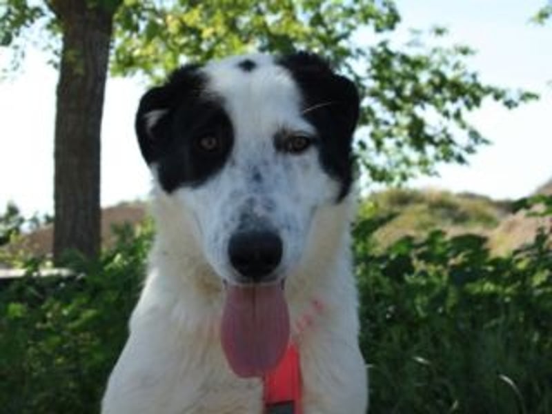 SOL-möchte Ihr ganz großes Herz an liebe Menschen zu verschenken