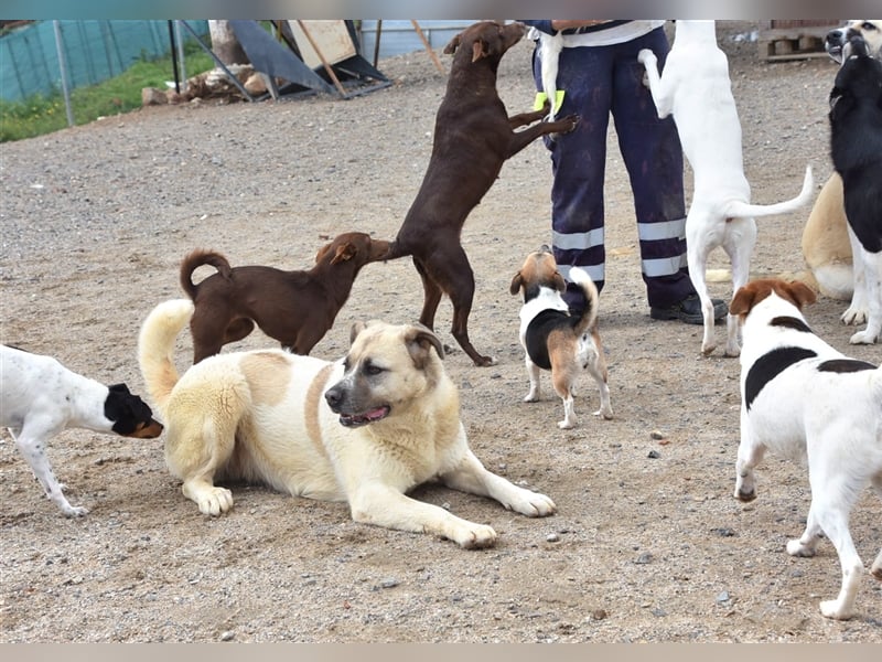 Bamali-wartet in 39291 Hohenwarthe